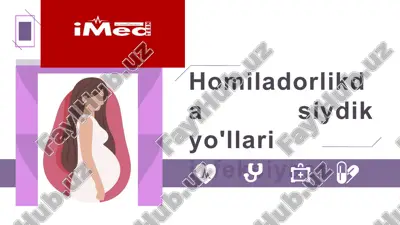 homiladorlikdasiydikyo'llari infeksiyasi — PPTX