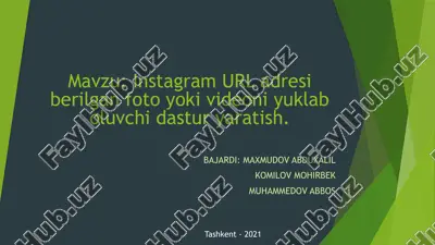 instagram url adresi berilgan foto va video ni yuklab oluvchi dastur — PPTX