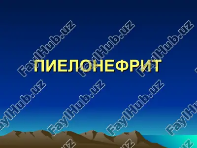 pielonefrit — PPT