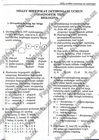 milliy sertifikat namunaviy test topshiriglari — PDF