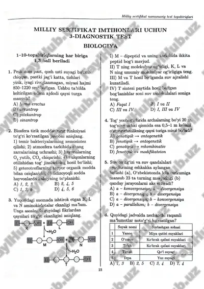 milliy sertifikat imtihonlari uchun 3-diagnostik test — PDF