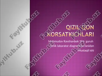kizil qoin — PPT