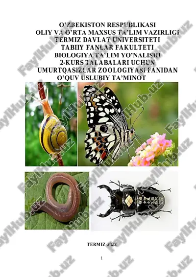 umurtqasizlar zoologiyasi fanidan o'quv usuliy ta'minot — PDF