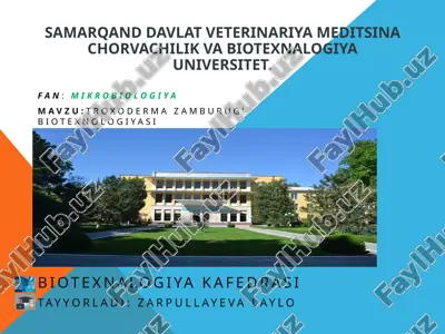 troxodermazamburug' biotexnologiyasi — PPTX