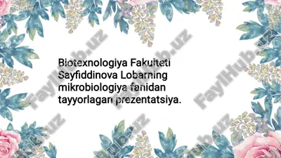 prezentatsiya "metionin va lizinni sintez qiluvchi mikroorganizmlar" — PDF