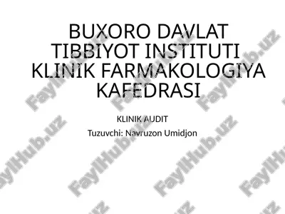 klinikaudit — PPTX