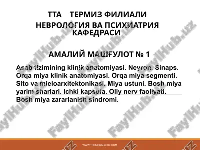asab tizimining klinik anatomiyasi — PPT