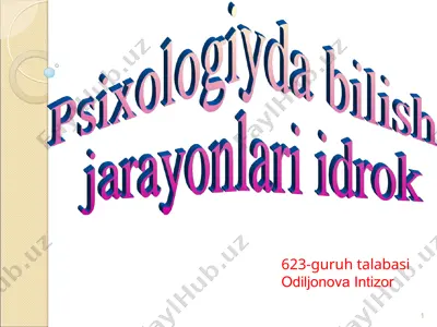 psixologiyda bilish jarayonlari — PPT