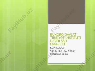 klinik audit — PPTX