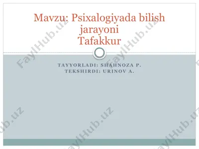 tafakkur — PPTX