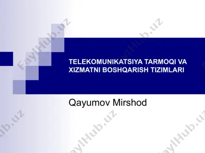 telekomunikatsiya tarmoqi va xizmatni boshqarish tizimlari — PPT