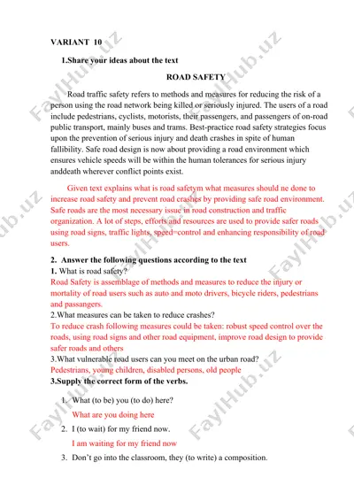 road safety guide — DOCX