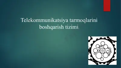 telekommunikatsiya tarmoqlarini boshqarish tizimi — PPT