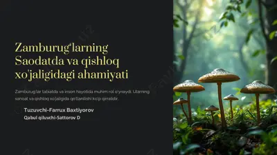 zamburug'lar — PDF