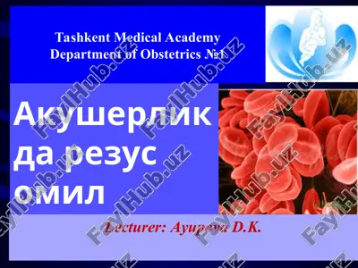 akusherlikda rezus omil — PPT