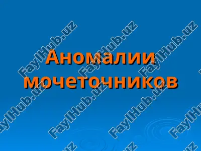 anomalii mochetochnikov — PPT