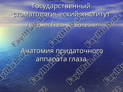 tashkentskiy gosudarstvenniy stomatologicheskiy institut — PPT