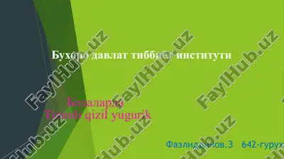 tizimliqizilyugurik — PPTX