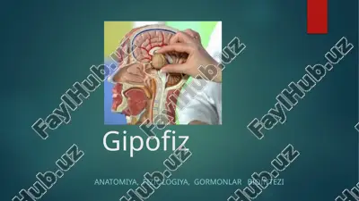 gipofiz — PPTX