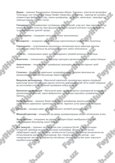 dermatologik qavatlardegi anatomik o'zgarishlar — DOCX