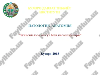 "ayollar jinsiy a'zolari anatomiya va fiziologiyasi" — PPTX