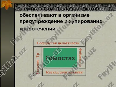 krovotecheniya u novorojdennix — PPT