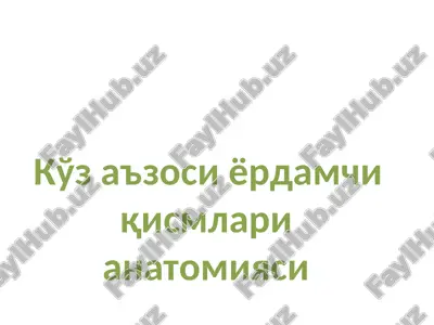 ko'z a'zos yordamchi qismlari anatomiyasi — PPT