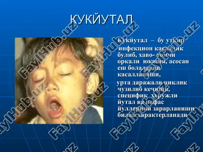 kukyutal — PPT