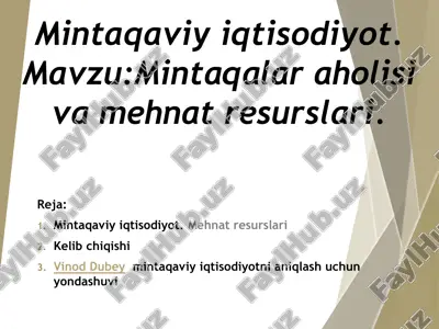 mintaqaviy iqtisodiyot.mavzumintaqalar aholisi va mehnat resurslari — PPTX