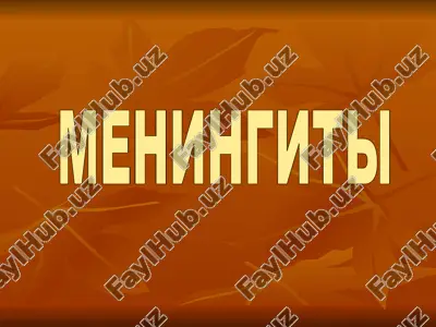 meningit (meningit) — PPT
