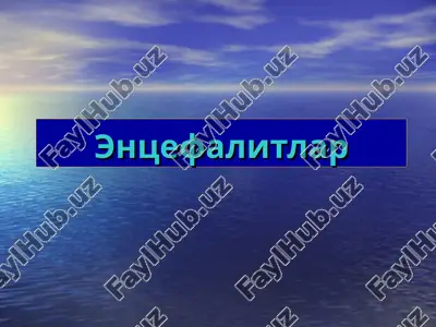 entsefalitlar — PPT
