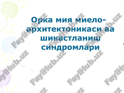 orka miya mielo-arxitektonikasi va shikastlanish sindromlari — PPT