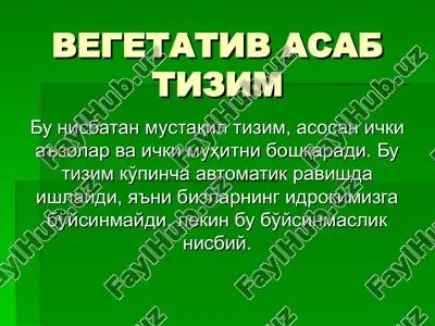 vegetativ asab tizim — PPT