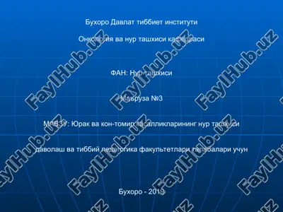 sonografiya (exokardiografiya) — PPT