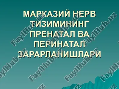 markaziy nerv tizimining prenatal va perinatal zararlanishlari — PPT