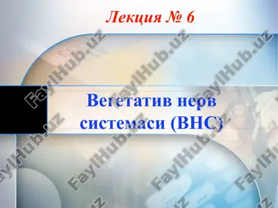 vegetativnervsistemasi(vns) — PPTX