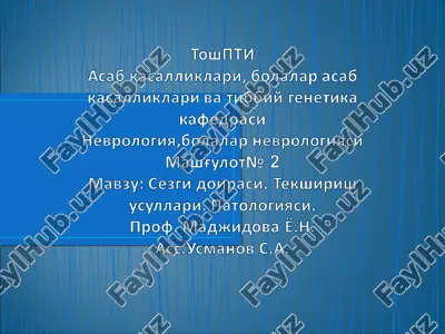 sezgi to'ul — PPT