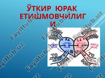aort ic valve — PPTX