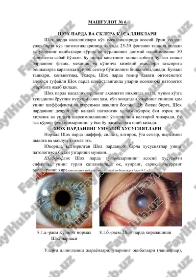 shoh parda va sklera kasalliklari — DOC