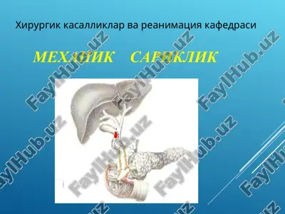 mexanik sariqlik — PPT