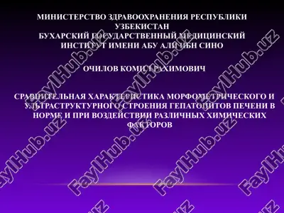 sravnitelnaya xarakteristika morfometricheskogo i ultrastrukturnogo stroeniya gepatotsitov pecheni v norme i pri vozdeystvii razlichnix ximicheskix faktorov — PPT