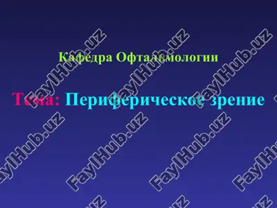 perifericheskoe zrenie — PPT