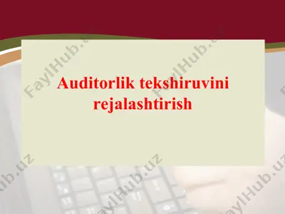 auditorlik tekshiruvini rejalashtirish — PPT