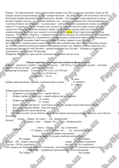 siydik ajratish organlari anatomiyasi va fiziologiyasi — DOCX