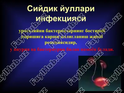 siydik yullari infektsiyasi — PPT