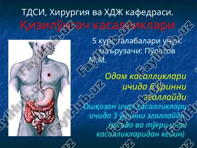 kizilo'ngach kasalliklari — PPT