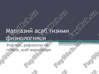 markaziy asab tizimi fiziologiyasi — PPTX
