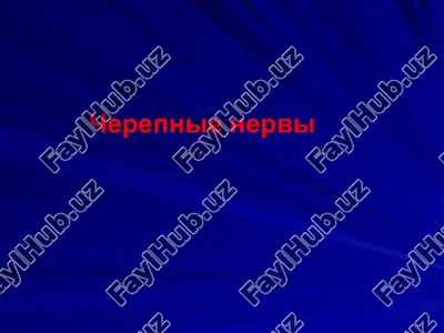 cherepnie nervi — PPTX