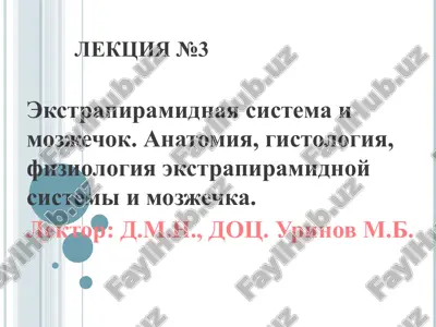ekstrapiramidnaya sistema i mozjechok — PPT