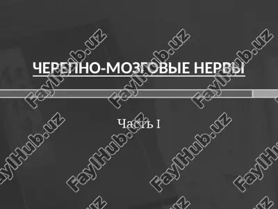 cherepno-mozgovie nervi — PPTX